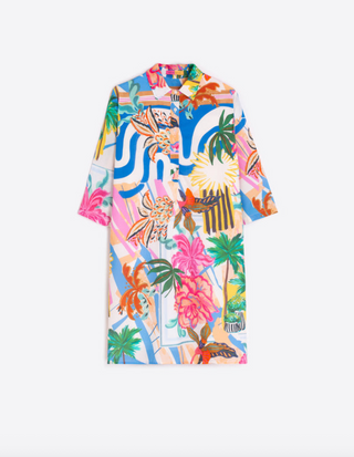 Multicolor Print Shirt Dress