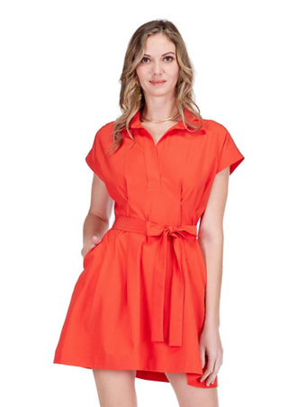 Fit & Dart Dress - Red