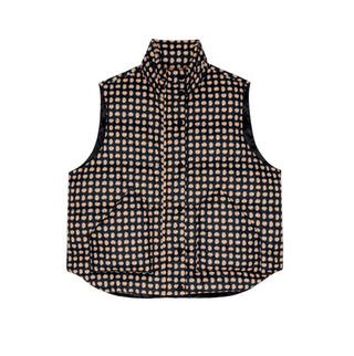 The Polar Vest