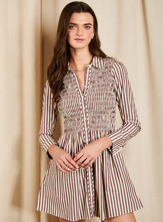 Charlyn Fall Shirting Stripe Mini Dress
